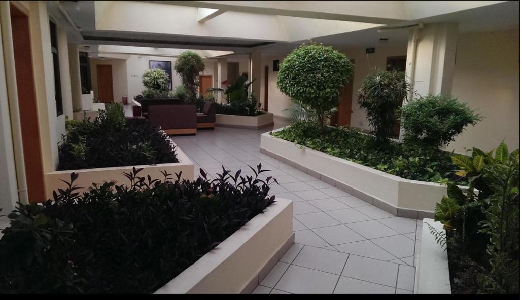 טמה Hotel Marjorie 'Y' מראה חיצוני תמונה